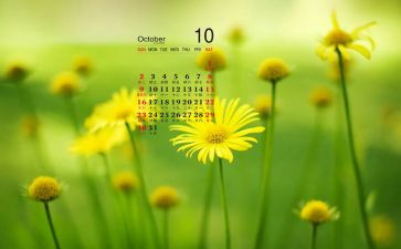 小班教师10月份工作总结8篇