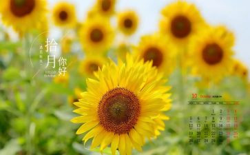 10月销售工作总结7篇