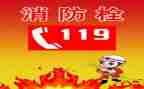 小学119消防日活动总结5篇