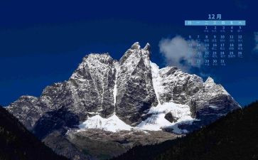 202412月转正申请书优质8篇