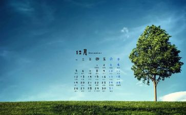 中班幼儿12月份工作总结5篇