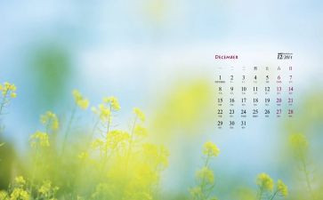 物业12月度工作总结7篇