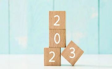 2023中心组工作总结6篇
