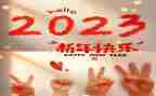 2023财务个人总结精选7篇