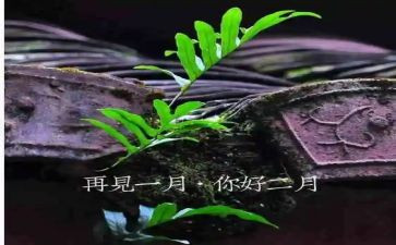 2月份的工作总结和计划7篇