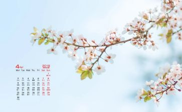 2024大班4月计划8篇