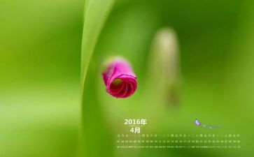 幼儿园4月份工作总结7篇