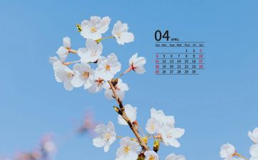 学生会4月工作总结5篇
