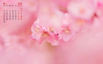 小班4月份月总结5篇