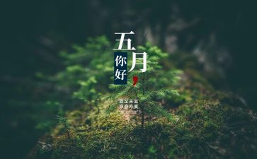 5月活动总结精选8篇