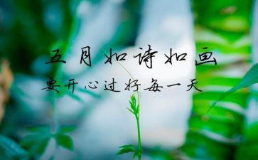 5月活动总结优秀8篇