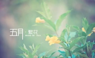 班主任5月份工作计划6篇