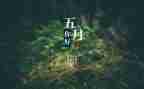 5月活动总结精选8篇