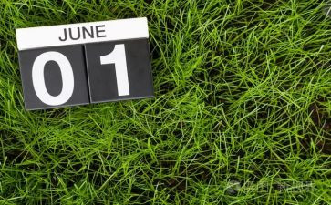 6月份月总结精选5篇