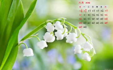 20236月工作总结优质6篇