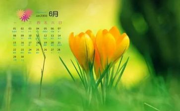 20236月工作总结5篇