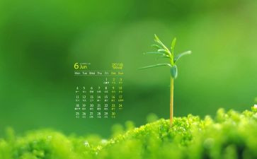 幼儿园大大班6月份工作计划8篇