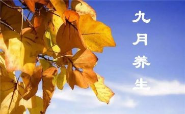 9月小班月总结5篇