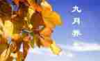9月小班月总结5篇