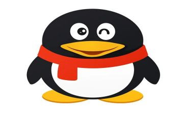 2024qq年度总结最新5篇