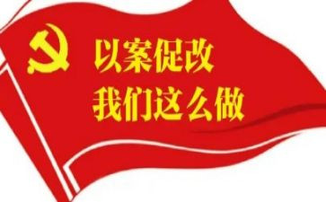 以案明纪以案为鉴以案促改警示教育心得体会6篇