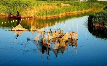 白洋淀纪事心得体会7篇