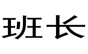 保安班长半年工作总结8篇