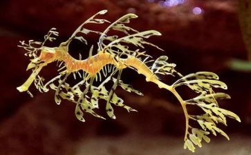 高中生物教师工作总结5篇