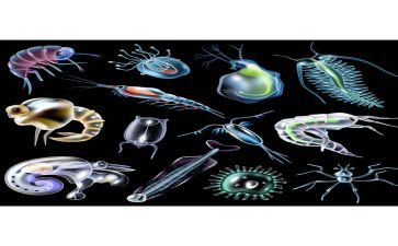 实习生物流自我鉴定7篇