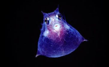 初中生物教师个人年度总结6篇