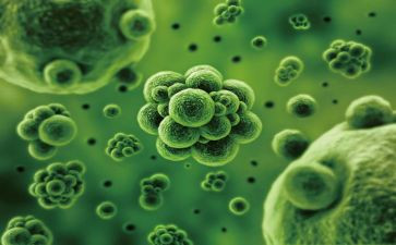 高二上学期生物教学计划7篇