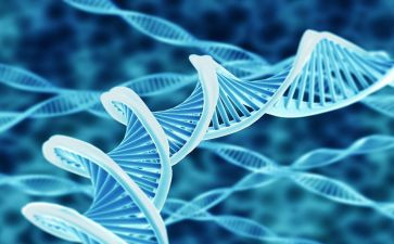 生物组备课组工作总结推荐8篇