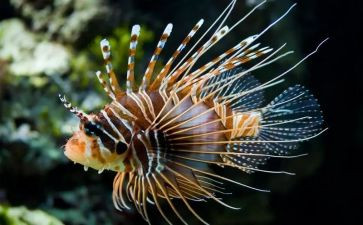 生物教师述职报告推荐6篇