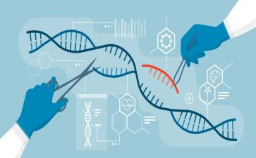 初一生物组工作总结5篇
