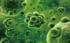 高二上学期生物教学计划7篇