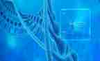 生物组述职报告8篇