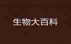 生物实验工作总结范文8篇