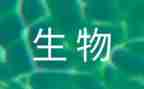 生物备课组工作计划5篇