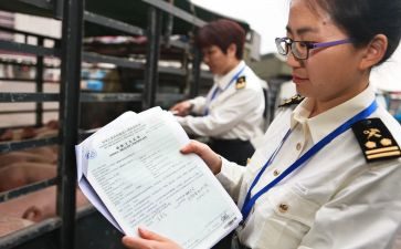 2024报关工作总结优质6篇