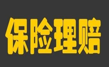 学保险的心得体会推荐6篇