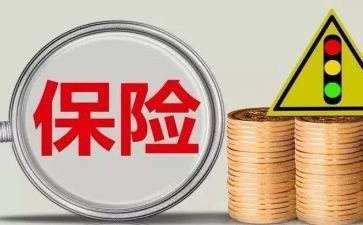 干保险的工作总结推荐6篇