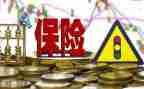 保险公司工作总结参考5篇