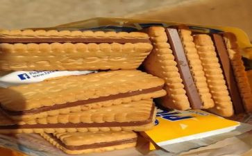 给小动物喂饼干教案5篇
