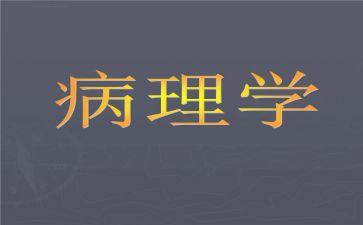 病理科自我鉴定5篇