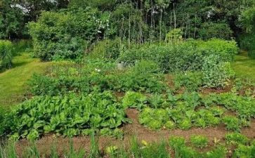 菜市场管理的调研报告6篇