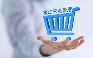 采购工作的述职报告6篇