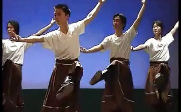 我最喜欢的藏舞作文600字8篇