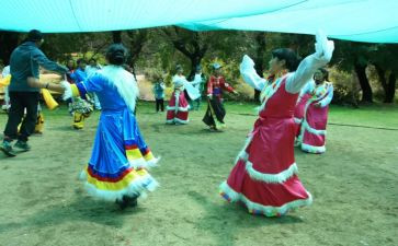 我最喜欢的藏舞作文600字优秀5篇