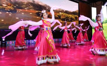 我最喜欢的藏舞作文400字最新5篇