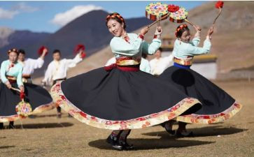 我最喜欢的藏舞作文600字模板5篇